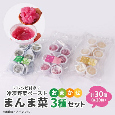 【ふるさと納税】まんま菜　冷凍野菜ペーストおまかせ3種セット【配送不可地域：離島】【1522909】