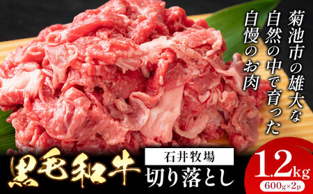 黒毛和牛 切り落とし 約1.2kg 600g×2パック 牛肉 《90日以内に出荷予定(土日祝除く)》