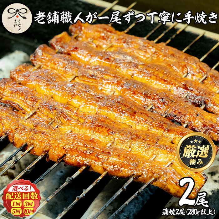 【ふるさと納税】鹿児島県産東串良町のうなぎ蒲焼・秘伝のタレ付き＜2尾・計280g以上/2尾・計280g以上×3回/2尾・計280g以上×5回/2尾・計280g以上×10回＞ うなぎ 高級 ウナギ 鰻 国産 蒲焼 蒲焼き たれ 鹿児島 定期便【うなぎ太郎】