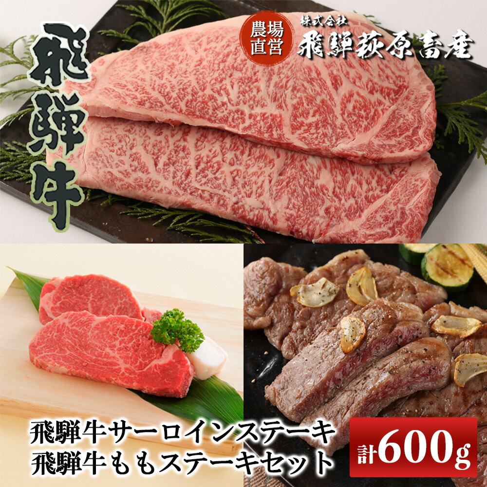 飛騨牛サーロインステーキ・飛騨牛ももステーキセット2