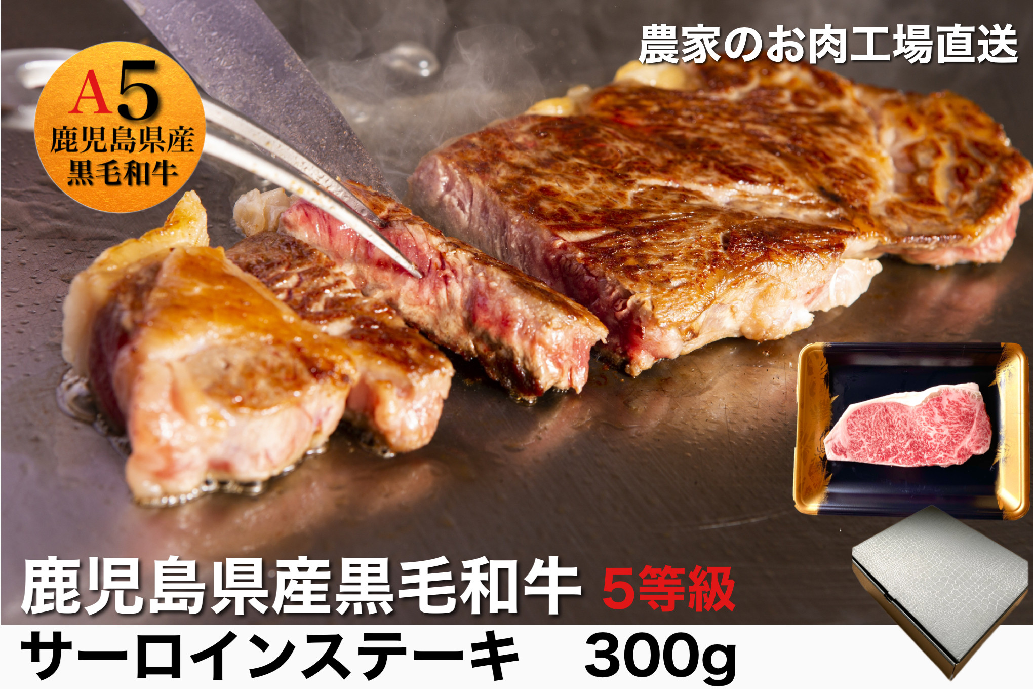 
鹿児島県産5等級黒毛和牛サーロインステーキ300g(水迫畜産/010-544)23-GP5 国産 肉 牛 和牛 ステーキ 霜降り ギフト 贈答用 プレゼント 鹿児島 いぶすき

