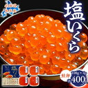 【ふるさと納税】北海道知床産 鮭いくら塩漬け(塩いくら)　400g【配送不可地域：離島・沖縄県】【1364327】