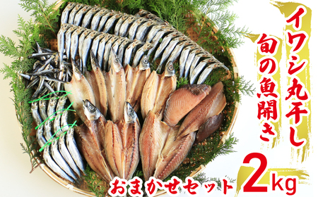 【高評価★4.6】 訳あり 魚の丸干し＆開き おまかせセット2kg 訳あり 干物 ひもの いわし さば あじ カマス 海鮮 干物 ひもの 鰯 丸干し 干物 訳あり 切り身 おつまみ 訳あり 干物 ひもの おかず 人気 訳あり愛媛県 愛南町 武久海産 4606135