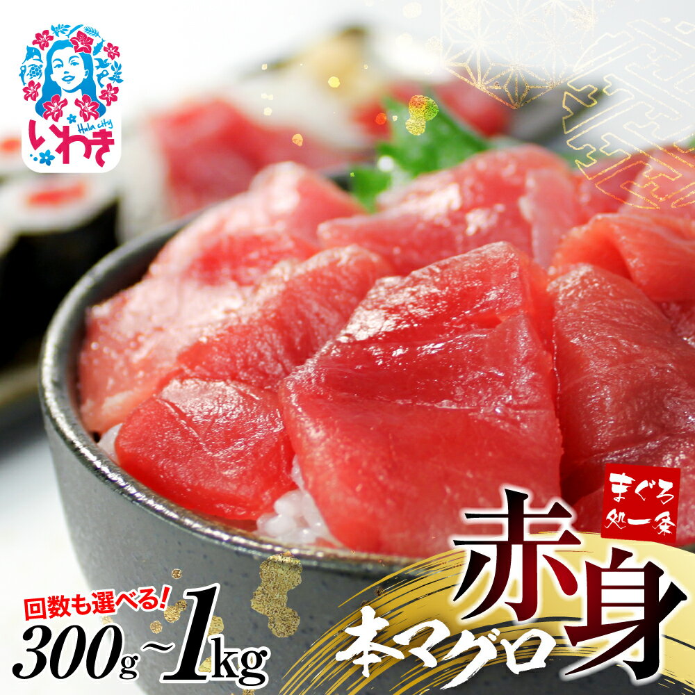 【ふるさと納税】 本マグロ 赤身 300g 1kg 選べる 定期便 ｜ 解凍レシピ付 1サクずつ 真空包装 まぐろ 鮪 寿司 海鮮丼
