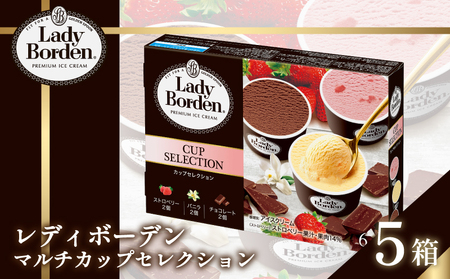 ロッテ レディーボーデン マルチカップセレクション ｜レディーボーデン アイス セット 詰め合わせ バニラ チョコレート ストロベリー アイスクリーム【MNM002_x】