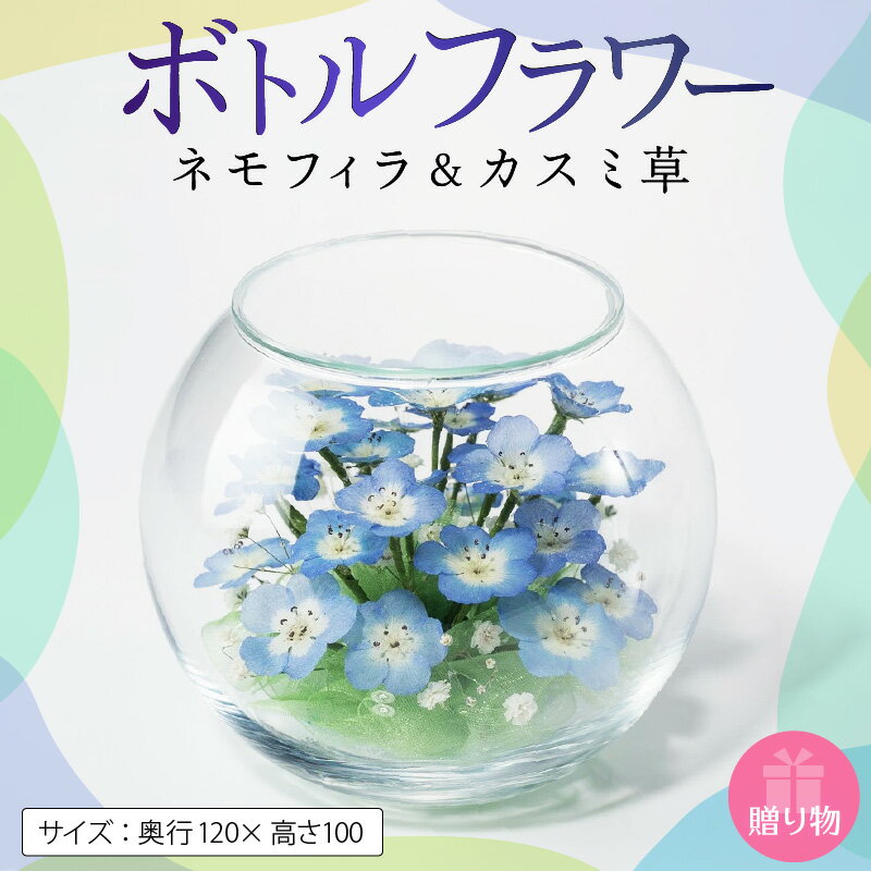 【ふるさと納税】ボトルフラワー ネモフィラ カスミ草 奥行120×高さ100 ドライフラワー ガラス容器 インテリア 雑貨 観賞用 花 フラワー アレンジメント ギフト 贈り物 プレゼント 福岡県 久留米市 お取り寄せ 送料無料