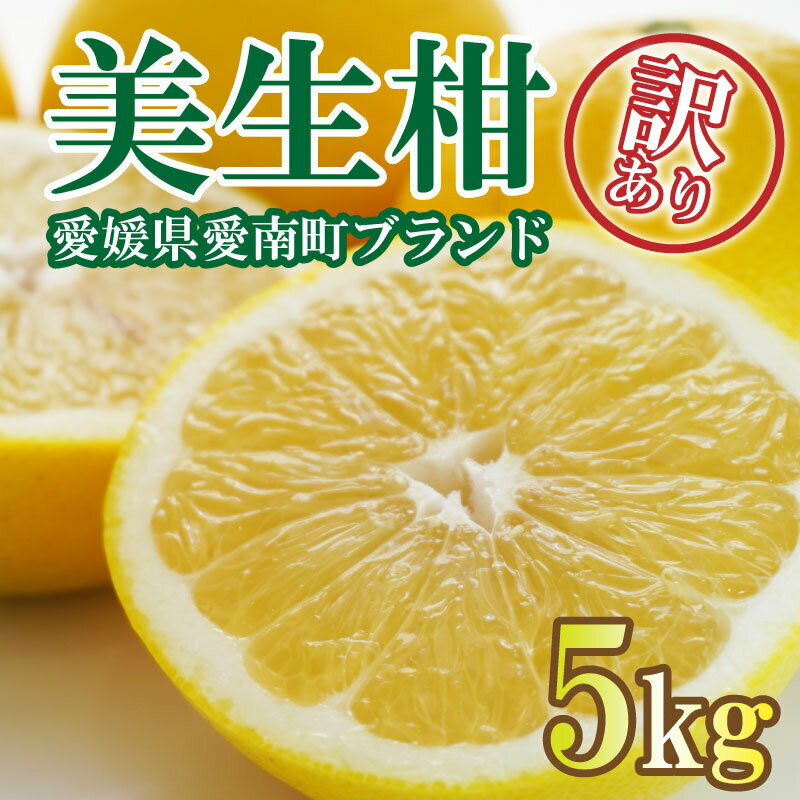【ふるさと納税】 先行予約 訳あり 美生柑 みしょうかん 約 5kg 河内晩柑 不揃い サイズミックス 傷あり ばんかん フルーツ 果物 くだもの 文旦 晩生柑 厳選 愛媛 みかん 蜜柑 mikan 愛南 ご当地 ブランド 国産 産地 直送 フルーツアイランド マルエム直販 愛媛県 愛南町