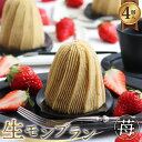 生モンブラン苺　4個入　1箱　約520g [No.486] ／ ケーキ 洋菓子 栗 マロン いちご イチゴ スイーツ お菓子 送料無料 岐阜県