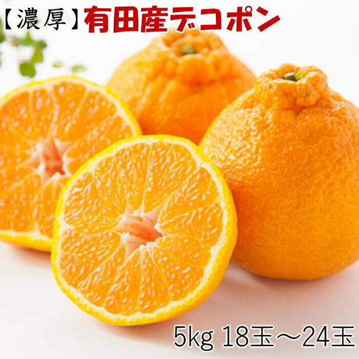 【ふるさと納税】［お味濃厚］紀州有田産のデコポン約5kg(18玉～24玉入り・青秀以上)★2026年2月中旬頃より順次発送［TM26］ | フルーツ 和歌山県 和歌山 九度山町 九度山 和歌山県九度山町 ふるさと 納税 楽天ふるさと 支援 支援品 返礼品 お礼の品 名産 名産品 特産 特産品