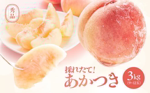 長野県産 桃 (あかつき) 約3kg 秀品〈2025年7月下旬～8月下旬発送〉| 桃 もも モモ あかつき 長野県 産地直送 くだもの 果物 フルーツ デザート 送料無料 長野県 飯田市