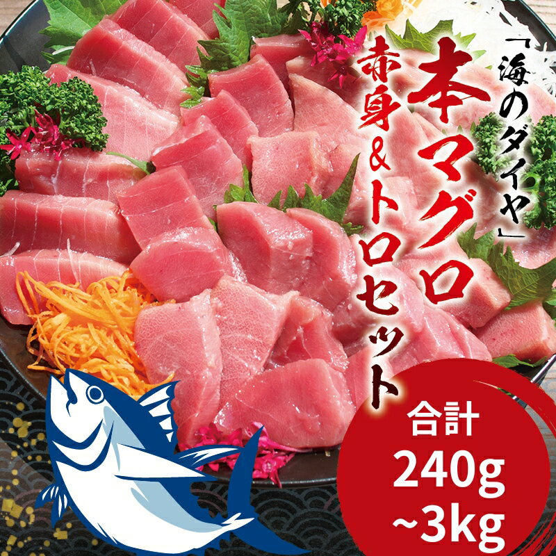 【ふるさと納税】 ＼お刺身やマグロ丼、お寿司で！／本マグロ（養殖）トロ＆赤身セット 240g 500g 1350g 3kg 【容量・発送時期が選べる】/ 中トロ 中とろ まぐろ マグロ 鮪 赤身 柵 本マグロ お正月 年末発送