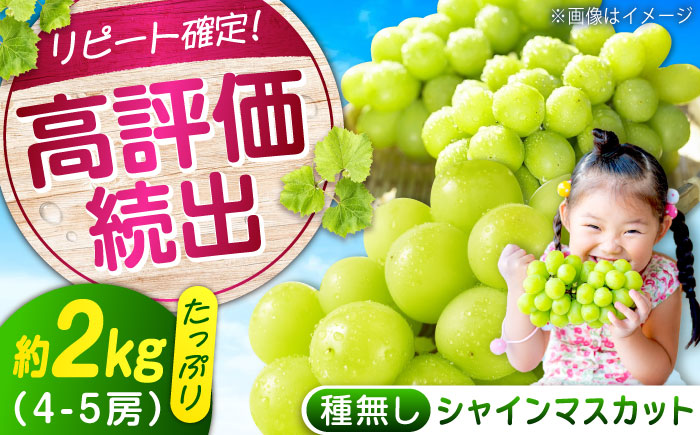 数量限定/9月上旬～9月下旬頃発送 沼隈ぶどう シャインマスカット 約2kg(4～5房) 広島県福山市/福山市農業協同組合　沼隈グリーンセンター ぶどう ブドウ 葡萄 種なし 大粒 マスカット シャインマスカット [BAEV004]