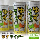 【ふるさと納税】ゆずサイダー16本【北川村ゆず王国】【1511971】