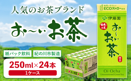 紙パック おーいお茶 250ml×24本 1ケース 株式会社伊藤園 《30日以内に出荷予定(土日祝除く)》