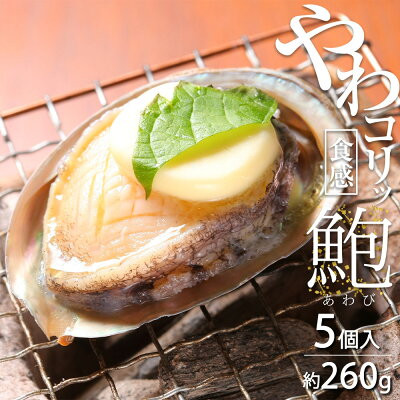 
ZG6009n_やわコリ食感紀州活アワビ 5個入
