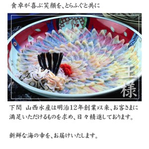 とらふぐ 刺身 100g 4人前 冷凍 ふぐ 刺し てっさ 皮 湯引き ポン酢 もみじ 付き 下関 山口 AU405