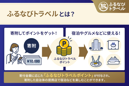 【旅行支援・宿泊無期限】旅行ポイント那智勝浦町ふるなびトラベルポイント