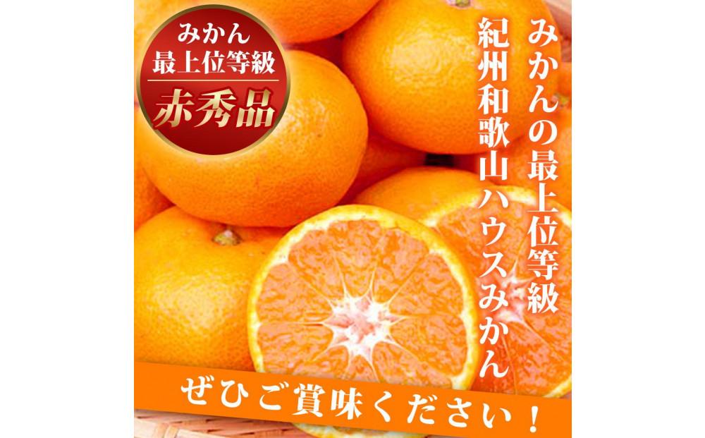 赤秀品 紀州和歌山ハウスみかん 2.5kg【2025年6月下旬頃～2025年7月中旬頃に順次発送】【UT87】 303446_XF045