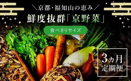 
【3ヵ月定期便】鮮度抜群「京野菜」　食べきりサイズ詰合せ ふるさと納税 京野菜 野菜 新鮮 食べきり 詰合せ 定期便 3か月 京都府 福知山市
