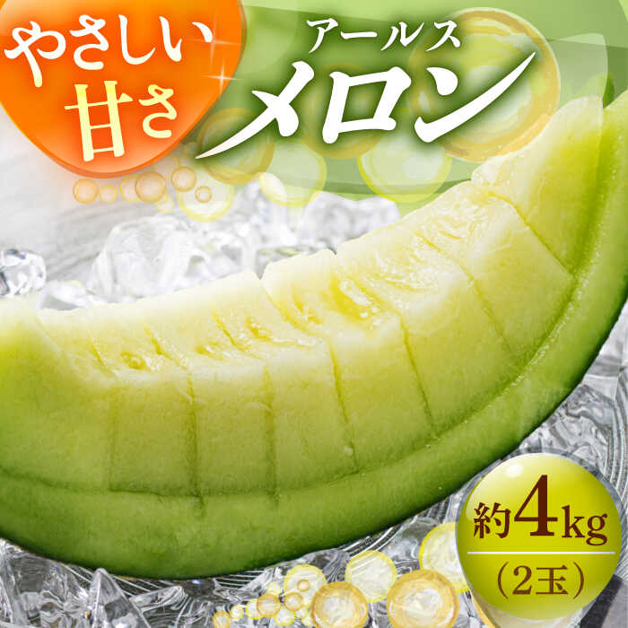 【ふるさと納税】【2025年 先行予約】アールスメロン 約4kg（2玉）果物 8月初旬順次発送 メロン マスク メロン 島 めろん メロン アールス メロン めろん 果物 フルーツ 五島列島《小値賀町》【ながさき西海農協小値賀地区園芸部会】[DAT002] 数量限定 メロン
