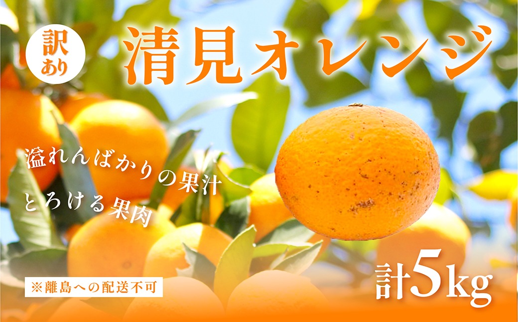 訳あり 清見オレンジ計5kg ※離島への配送不可 IKTAC008