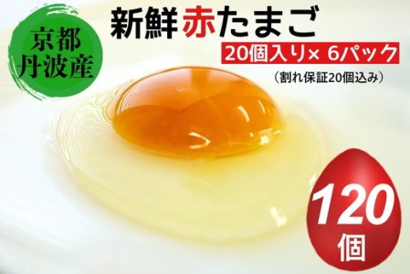 新鮮 卵 京都・丹波の赤たまご 100個＋割れ保証20個 計120個 《生卵 たまご 鶏卵 小分け 贈答 ギフト》