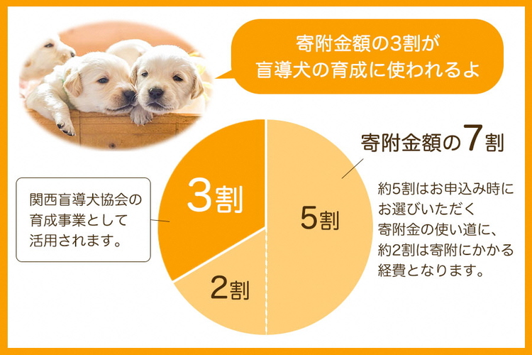 【返礼品相当額で盲導犬の育成を支援】支援額3,000円(記念品なし) 寄附のみ 返礼品なし 応援 寄附 支援 ※10,000円単位でご寄附いただけます。