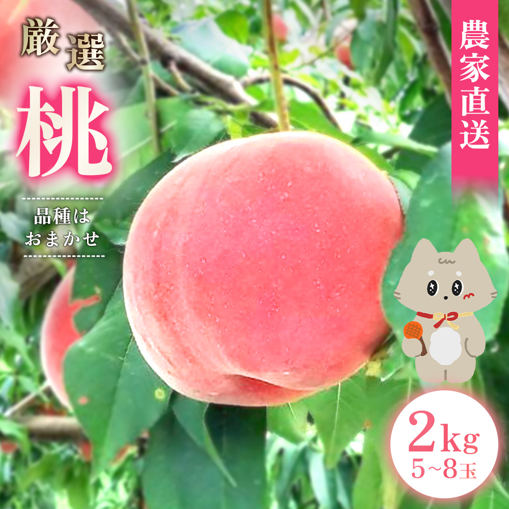 【2025年先行予約】《7月中旬～9月中旬出荷》 宮城県丸森町産 桃 5～8玉（約2kg）【48004】