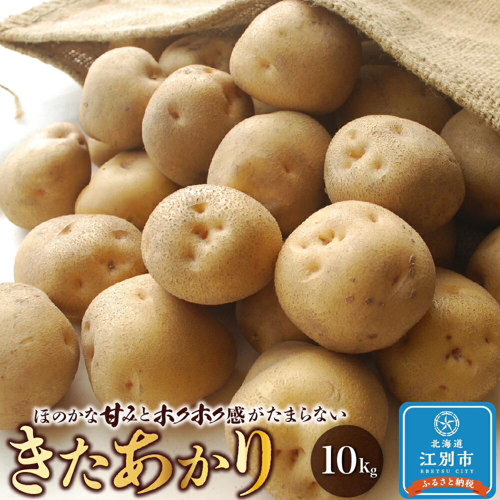 【ふるさと納税】『春夏秋菜』きたあかり10kg/2025年9月より順次発送 | 北海道 野菜 じゃがいも ジャガイモ イモ 芋 キタアカリ 北海道ふるさと納税 江別 ふるさと納税 北海道 【AX002】