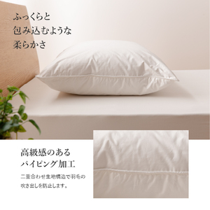  【甲州羽毛ふとん】ダウンまくら大判(1個)　ピローケース付(1枚) 寝具 布団 ふとん 布団 寝具 ふとん 羽毛布団 寝具 掛けふとん 布団 掛布団 羽毛布団 寝具 掛けふとん ふとん 寝具 布団 