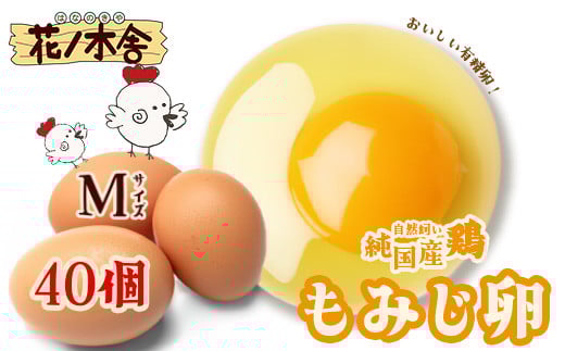 自然飼い　純国産鶏「もみじ」卵　40個入　（Mサイズ）　【04209-0235】