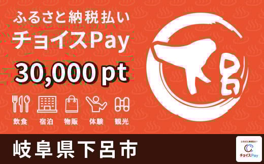 温泉・旅館・ホテルで使える！下呂市 電子感謝券 30,000ポイント【会員限定のお礼の品】