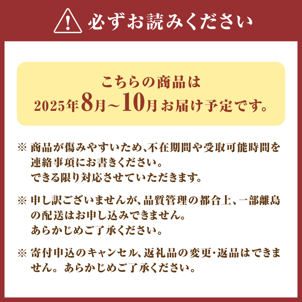 プレミアムいちじく とよみつひめ　1.2kg【JAほたるの里】_HA0278