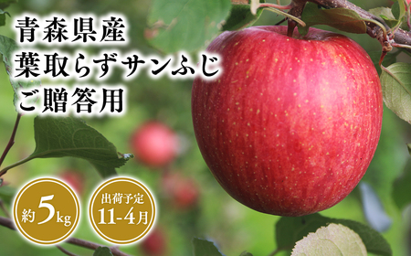 １１月～４月発送　贈答用葉とらずサンふじ5ｋｇ　【そと川りんご園・１１月・１２月・１月・２月・３月・４月・青森県産・平川市・りんご・葉とらずサンふじ・5ｋｇ・贈答用】