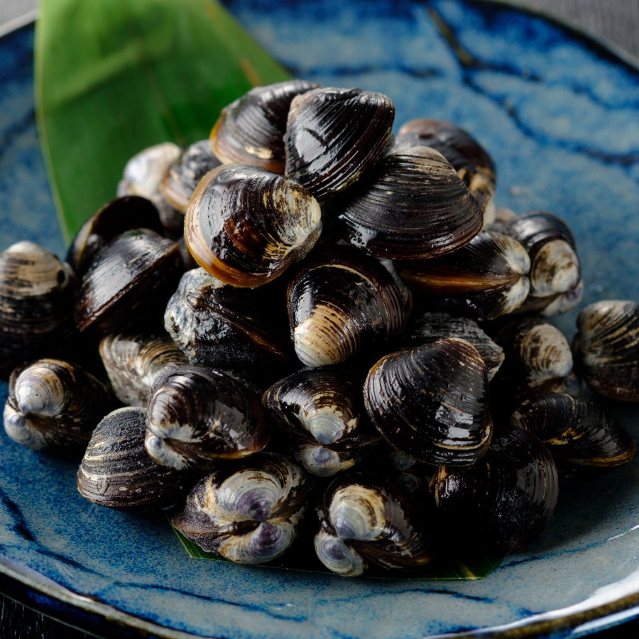 宍道湖産冷凍大和しじみ 特大500g×2 & L500g×2