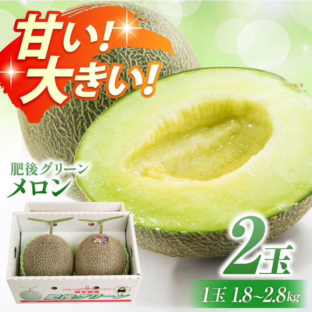 【ふるさと納税】【数量限定】【先行予約】肥後グリーンメロン 2玉（1玉1.8〜2.8kg）【鹿本農業協同組合】[ZAG014]