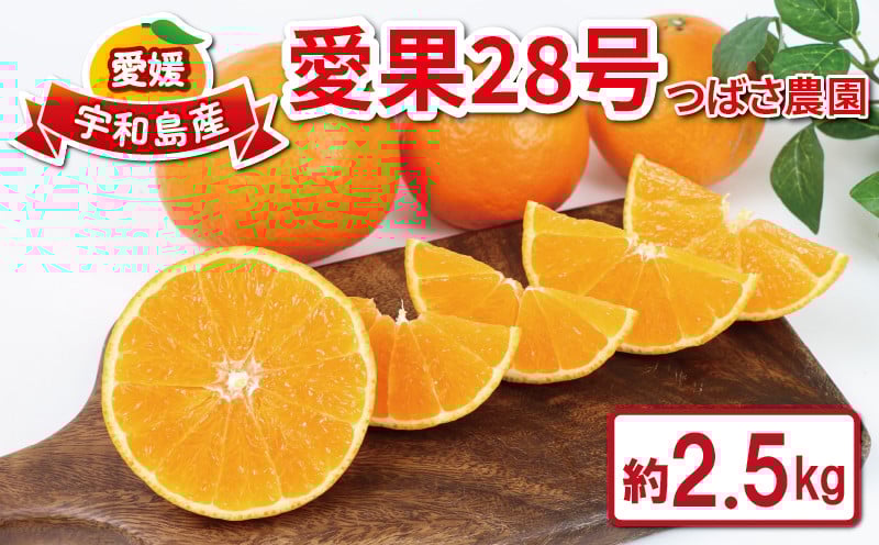 
愛果28号 2.5kg 家庭用 つばさ農園 先行予約 愛媛みかん 愛媛蜜柑 愛媛県産 果物 フルーツ くだもの 柑橘 みかん mikan 高級 ブランド ゼリー プルプル 甘い 国産 限定 品種 あいか 農家直送 産地直送 数量限定 国産 愛媛 宇和島 B010-048010
