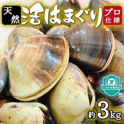 
天然 はまぐり 約3kg ( 千葉県産 ) _ 蛤 ハマグリ 魚貝 魚介 海鮮 貝 出汁 だし プロ仕様 人気 送料無料 【1306039】
