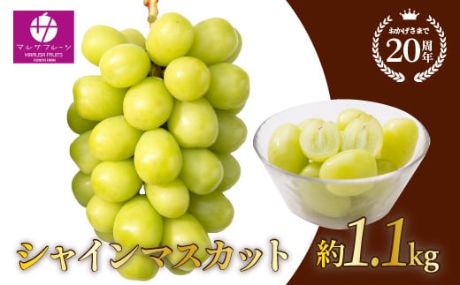 シャインマスカット 1.1kg 山梨県笛吹市産