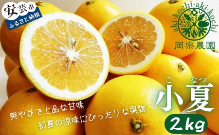 メリーガーデンの小夏　2kg