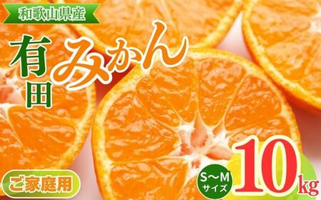【ご家庭用】和歌山有田みかん約10kg(S、Mサイズ)【美浜町】〇｜みかん ミカン 蜜柑 フルーツ みかん ふるーつ みかん 果物 みかん くだもの みかん 産地直送 みかん  ※北海道・沖縄・離島への配送不可 ※2025年11月上旬～2026年1月下旬頃に順次発送予定