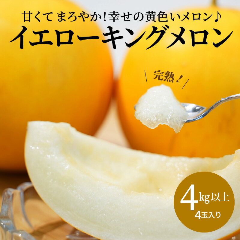 【ふるさと納税】メロン 完熟 イエローキングメロン 4kg 以上 4玉 入り 甘い 果物 柔らかい まろやか 食感 糖度 13〜15度 2025年 発送 鈴良農園 愛知県 碧南市 お取り寄せ お取り寄せフルーツ 送料無料