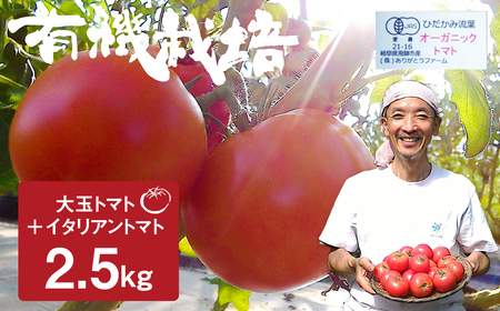 《令和7年産先行予約》有機大玉トマト 調理用イタリアントマト 有機JAS認定 合計2.5kg[Q633] syun9