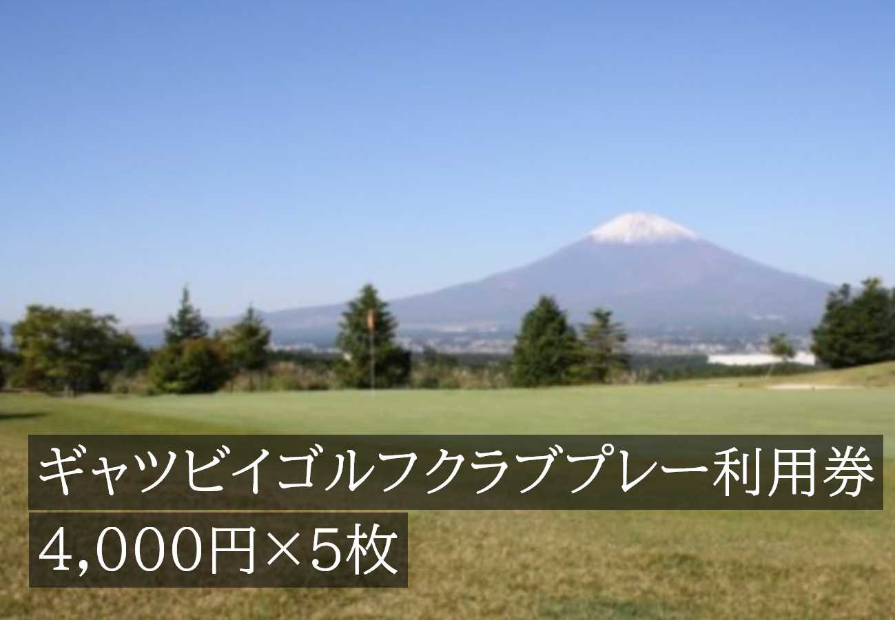 
L19ギャツビイゴルフクラブプレー利用券　5枚

