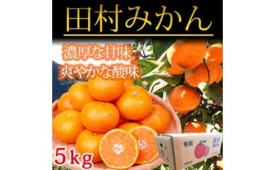 高級ブランド田村みかん ５kg◇ ※2025年11月下旬〜2026年1月下旬頃に順次発送予定