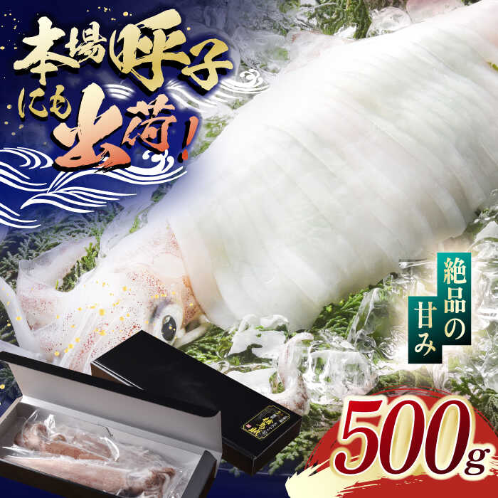 平戸 極鮮 ヤリイカ 約500g 【海隆丸】[KAB109]