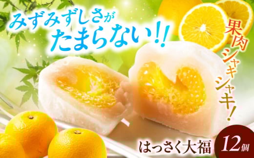 お菓子 はっさく大福12個入 お菓子 大福 八朔 柑橘 みかん オレンジ 餅 ギフト お取り寄せ スイーツ フルーツ大福 ご当地 菓子 おかし デザート 食品 人気 おすすめ 広島県福山市/株式会社虎屋本舗 [BADH012]
