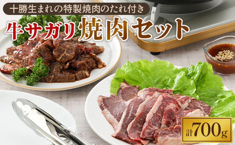 
            牛上ハラミ（サガリ）700g タレ付き焼肉セット【 牛肉 豚肉 焼き肉 惣菜 冷凍 北海道 十勝 幕別 ふるさと納税 送料無料 】 [№5749-1012]
          