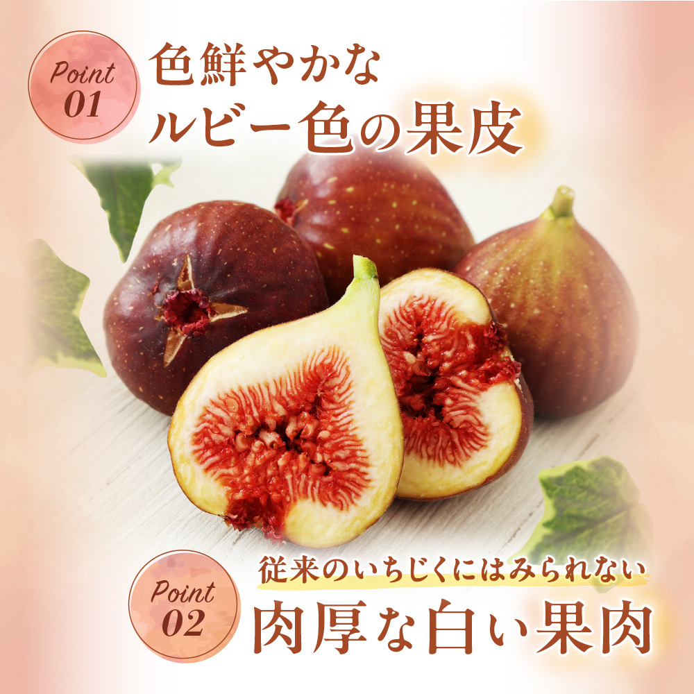 プレミアムいちじく とよみつひめ　1.2kg【JAほたるの里】_HA0278