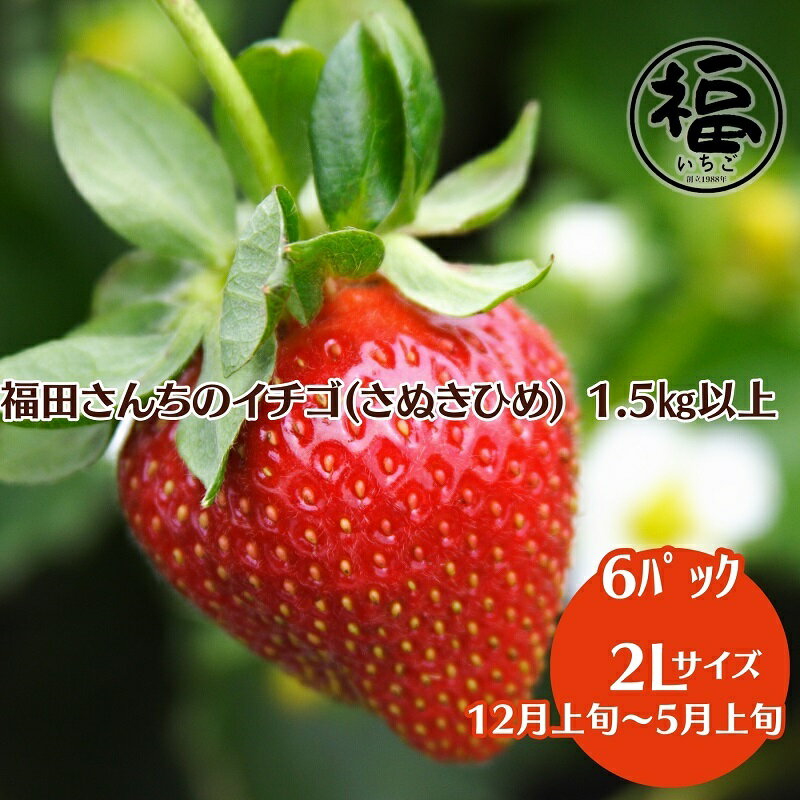 【ふるさと納税】福田さんちのイチゴ(さぬきひめ) 2L サイズ ×6パック1.5kg以上【配送不可：北海道、沖縄、離島エリア】苺 農園直送 いちご採れたて直送　お届け：2024年12月上旬～2025年5月上旬収穫次第順次発送いたします。